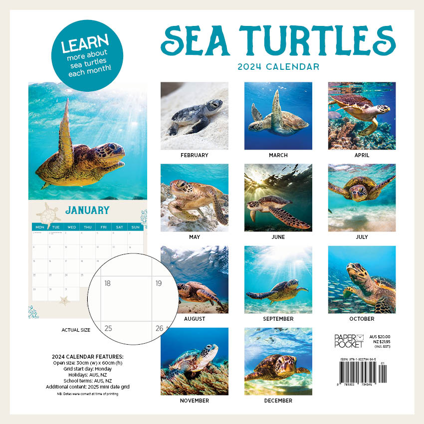 2024 Sea Turtles Calendar Paper Pocket