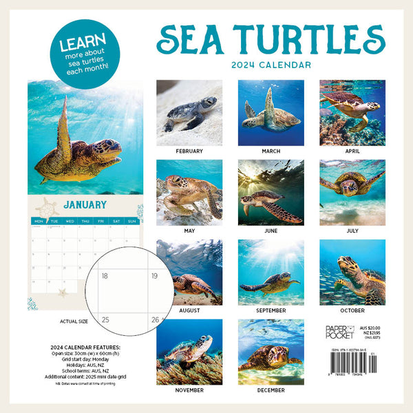 2024 Sea Turtles Calendar – Back Cover