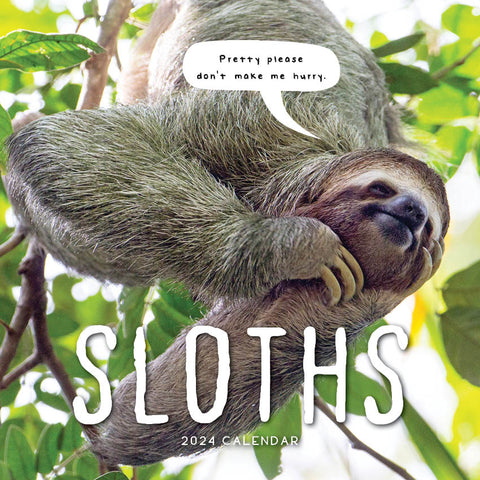 2024 Sloths Calendar – Cover Image