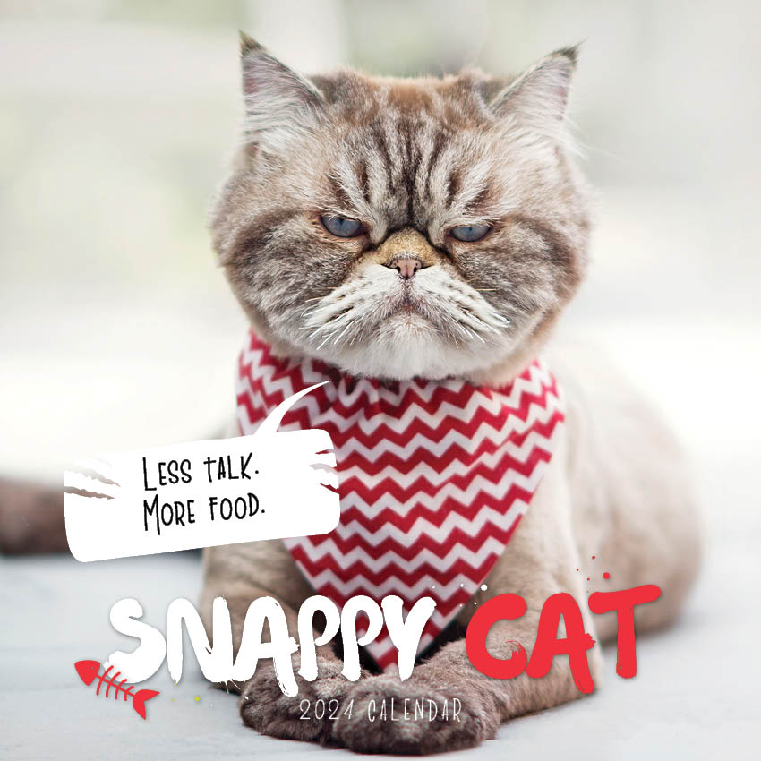 2024 Snappy Cat Calendar – Cover Image