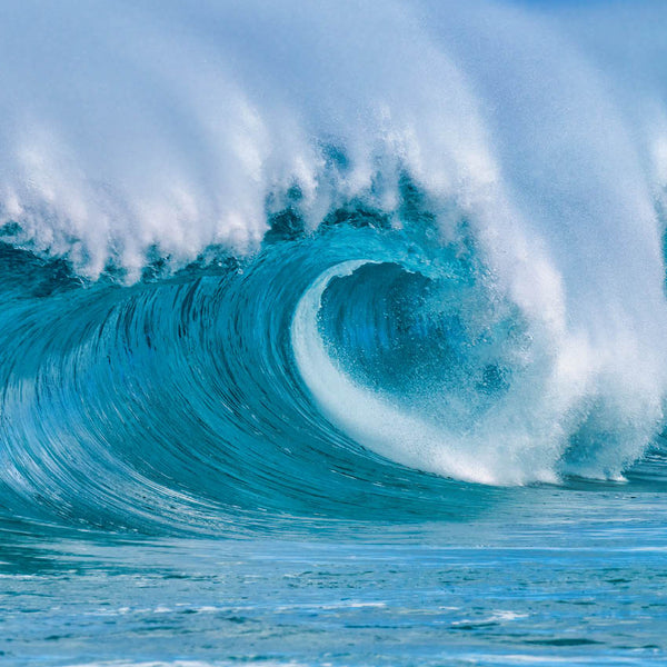 2024 The Big Surf Biggest Waves Calendar – Internal Image