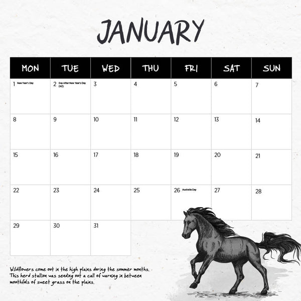 2024 Wild Horses The Brumby Calendar – Month Overview