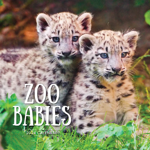 2024 Zoo Babies Calendar – Cover Image